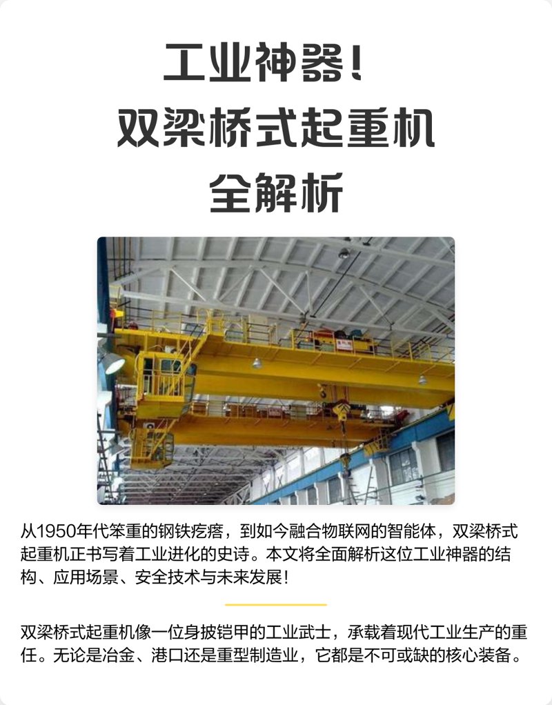 案例解读：如何选择适合的北票电动葫芦